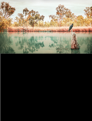 Guns, Drugs and a Young Woman Dead on the Money image