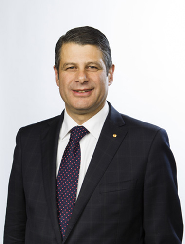 Steve Bracks image
