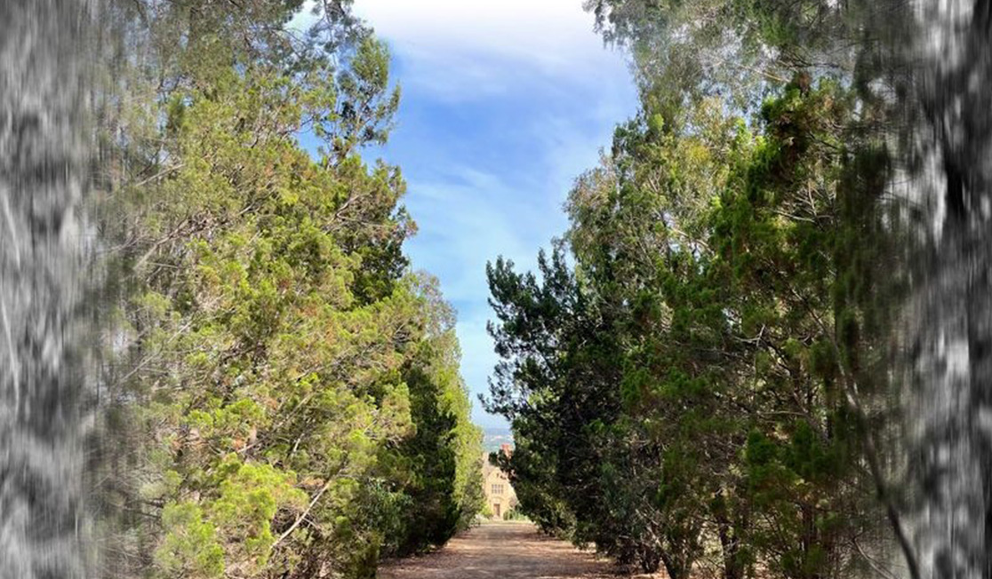 An old house is at the end of a long path with large trees along it.