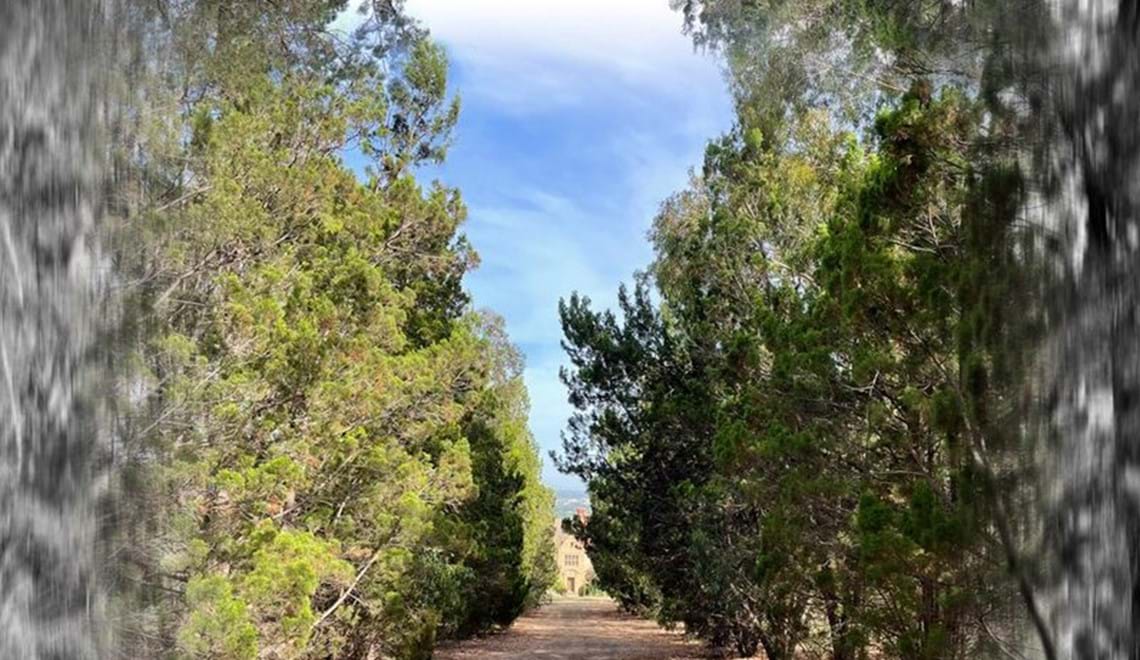 An old house is at the end of a long path with large trees along it.